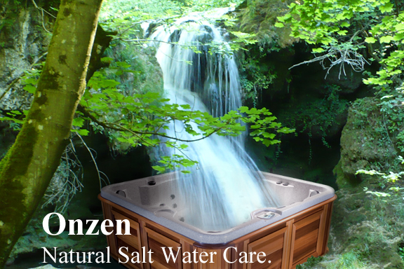 Onzen Salt Water System Lansing Mi Heat N Sweep